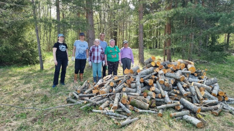 Исцеляющая сила природы в проекте "Сад неограниченных возможностей"