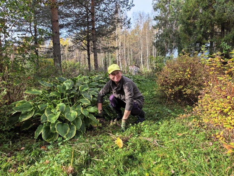 Осенние природные ритмы в проекте "Сад неограниченных возможностей"